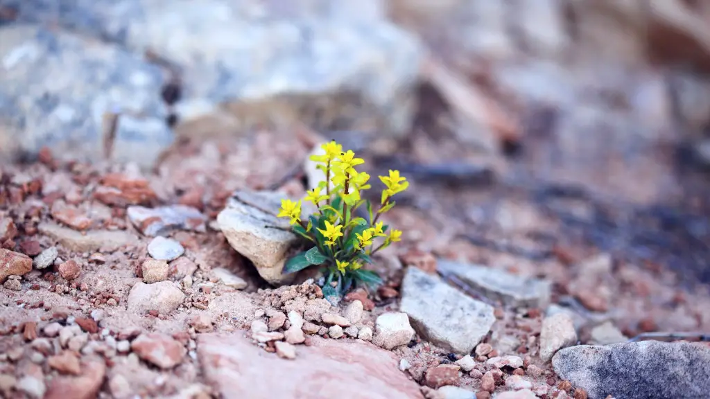 Is ecology the least prestigious feild?