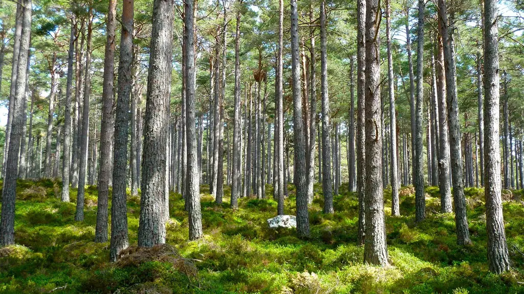 How Long Until Global Warming Makes Earth Uninhabitable