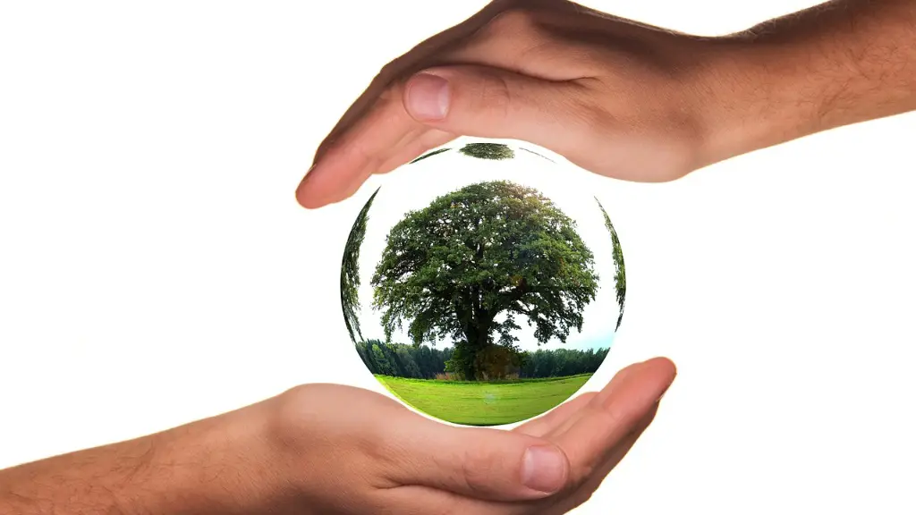 How Global Warming Effects Us
