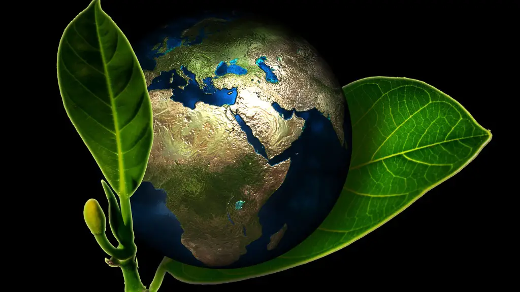 What Can People And Nations Do To Fix Global Warming