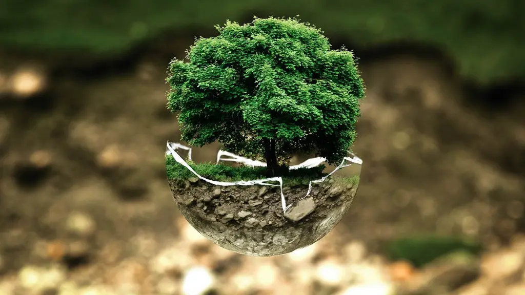 Does China Believe In Global Warming
