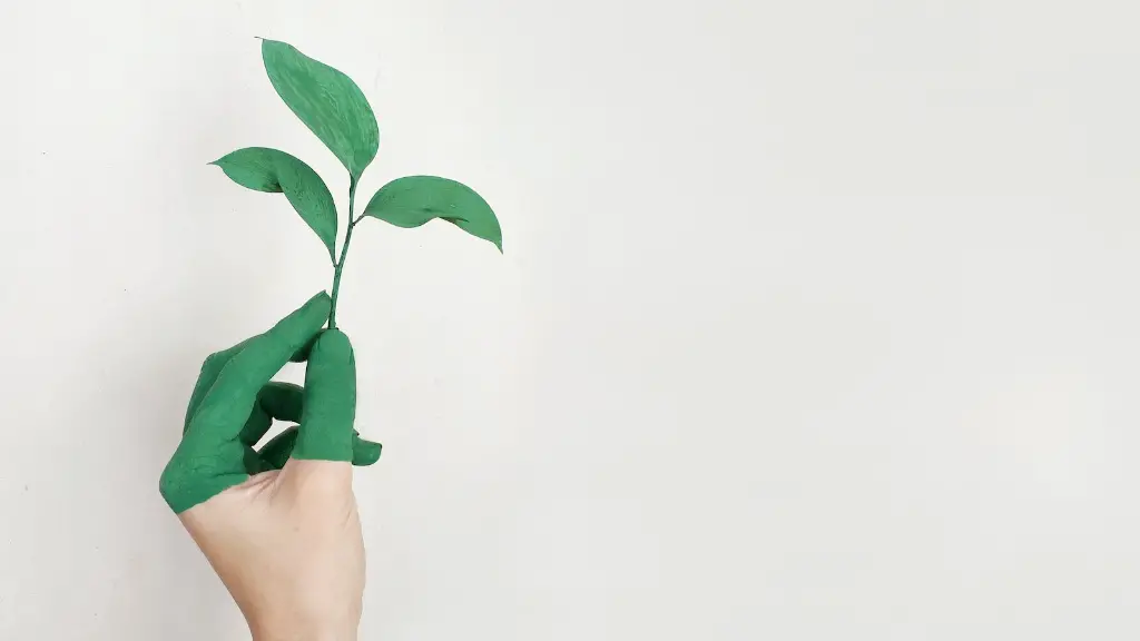 How Can You Help Reduce Global Warming How Can You Help Reduce Global Warming