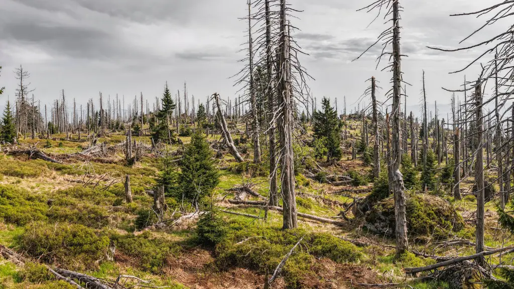 How Does Ozone Affect Global Warming