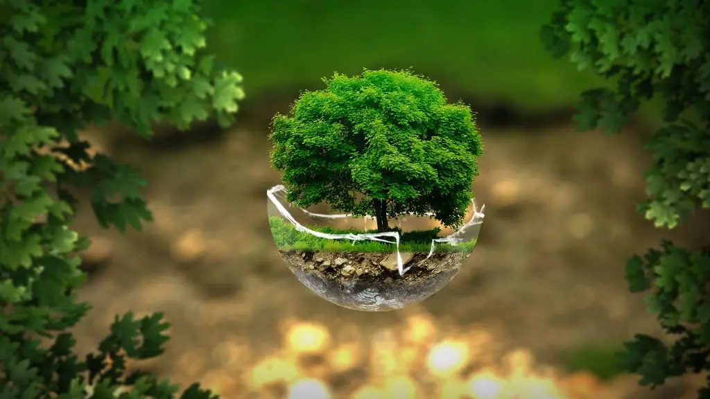 What Are Problems Caused By Global Warming
