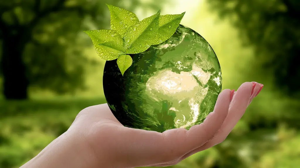 What Animals Are Going Extinct Due To Global Warming