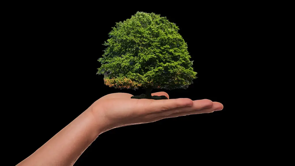 What Is California Doing To Reduce Global Warming