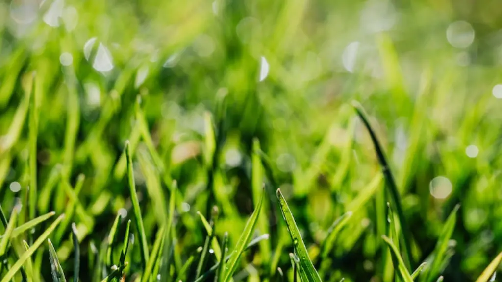 What Are The Possible Negative Effects Of Global Warming