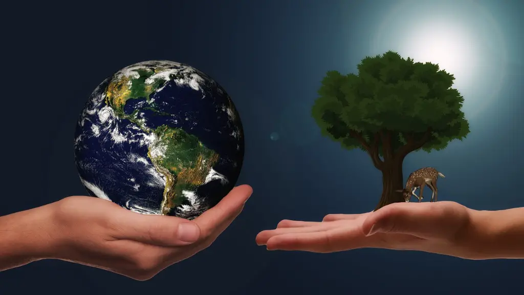 How Are Human Activities Affecting Global Warming