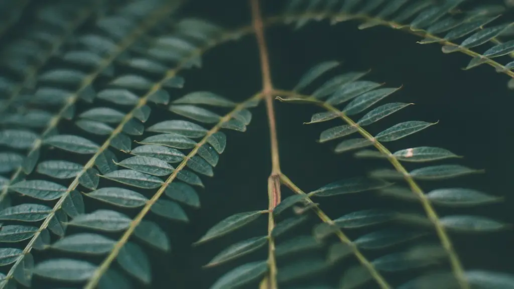 How Human Activities Contribute To Global Warming
