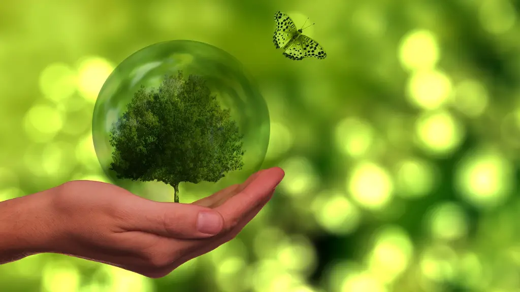 What Is Climate Change And Global Warming Definition