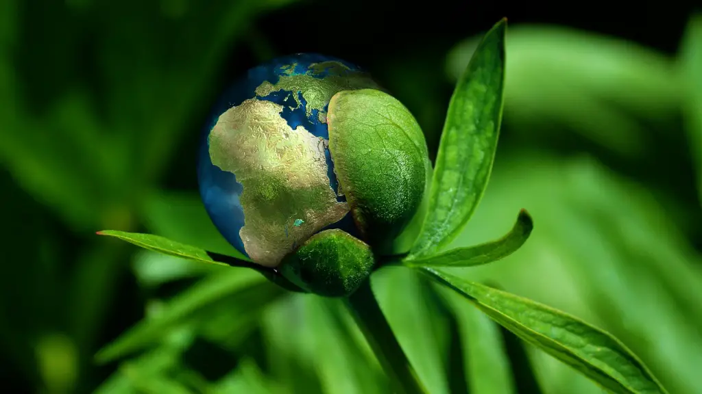 How Could Global Warming Be Stopped