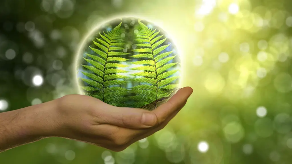 Does Global Warming Cause Pollution