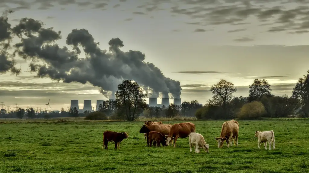 What Animals Are Endangered Because Of Global Warming