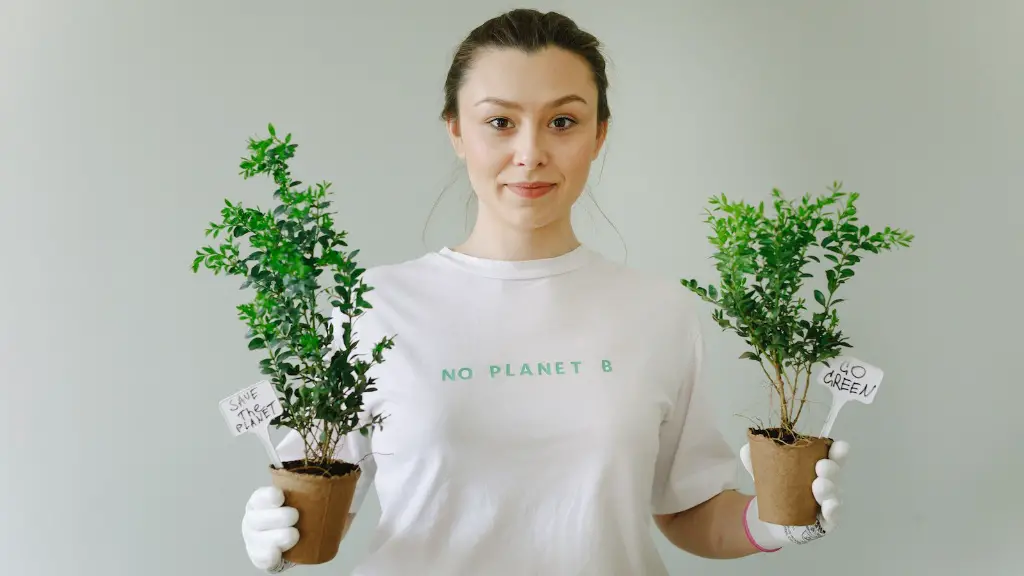 What Has Diminished The Effects Of Global Warming On Land