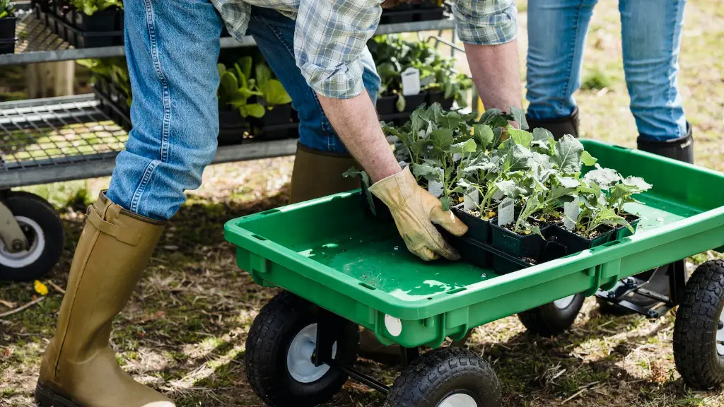 How much does a concrete ecology block weigh?