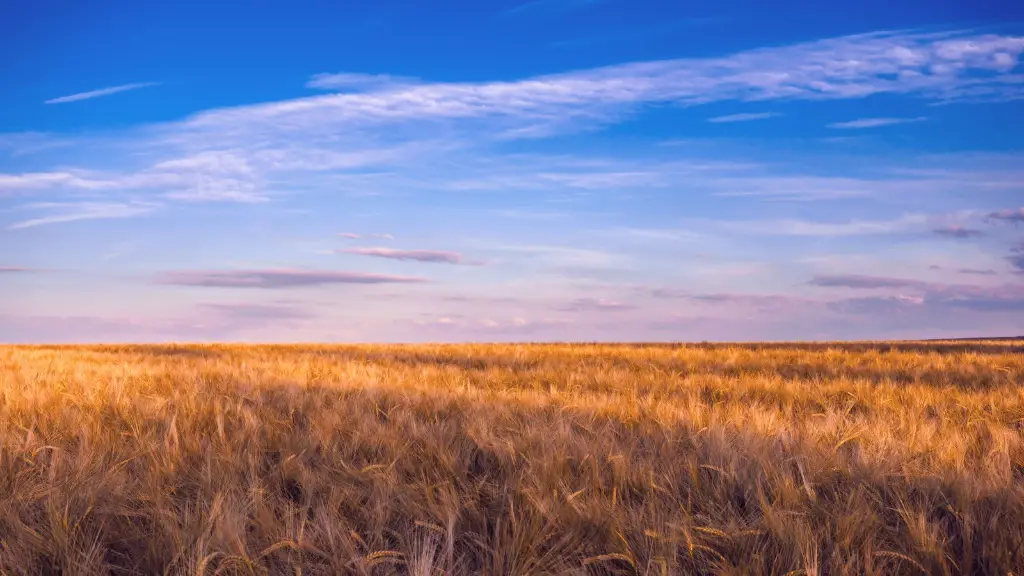 How Is Agriculture Affected By Global Warming