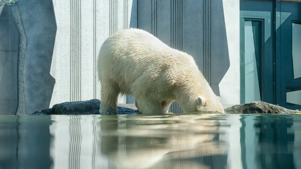 Which Causes Global Warming