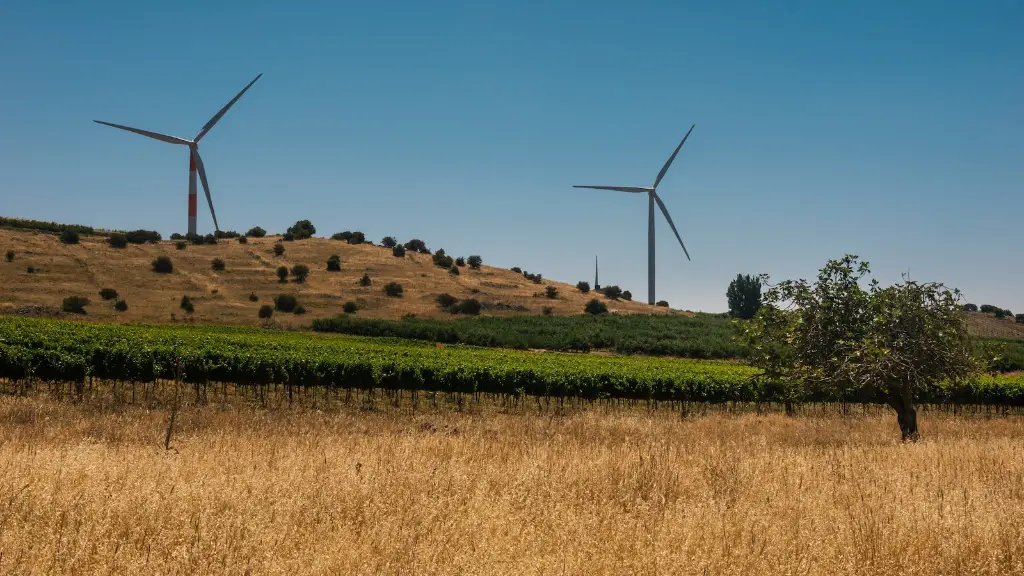 What Are Countries Doing About Global Warming